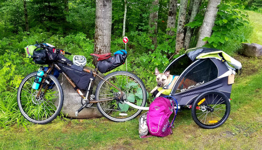 Backpacking Gear Essentials For Your Dog