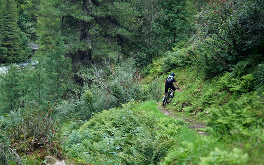 Personal Essay: Solo Mountain Biking