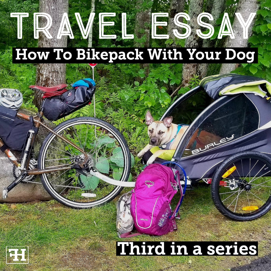 How To Bikepack With Your Dog